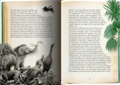 Coppenrath Klassiker*Reise zum Mittelpunkt der Erde