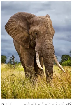 Ackermann Kunstverlag Wochenkalender-Reisen Wochenkalender 2026