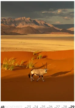 Ackermann Kunstverlag Wochenkalender-Reisen Wochenkalender 2026