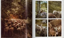 Taschen GmbH Reisen, Orte & Menschen-Remote Experiences. Extraordinary Travel Adventures from North to South