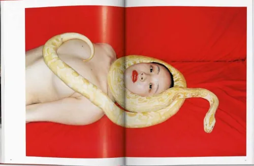 Ren Hang*Taschen GmbH Discount