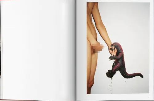 Ren Hang*Taschen GmbH Discount