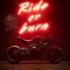 booXperts Dark Romance*Ride or Burn
