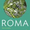 ROMA B Prüfungen 2*Buchner, C.C. Verlag Hot