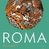 Buchner, C.C. Verlag Lateinische Bücher*ROMA B Prüfungen 3