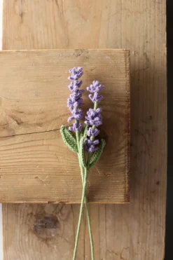 frechverlag GmbH Ratgeber*Romantische Blumen häkeln