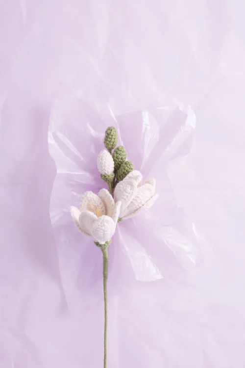 frechverlag GmbH Ratgeber*Romantische Blumen häkeln