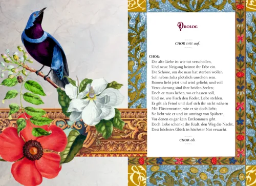 Coppenrath Klassiker-Romeo und Julia