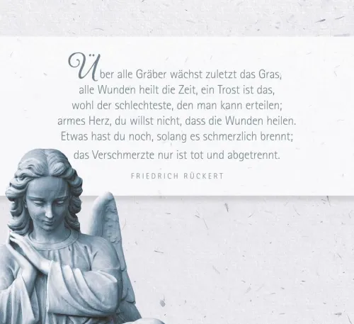 Sanft nur heilt die Zeit*Pattloch Geschenkbuch Hot