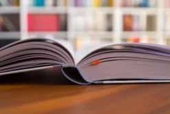 Schecks Kanon*Piper Verlag GmbH Hot