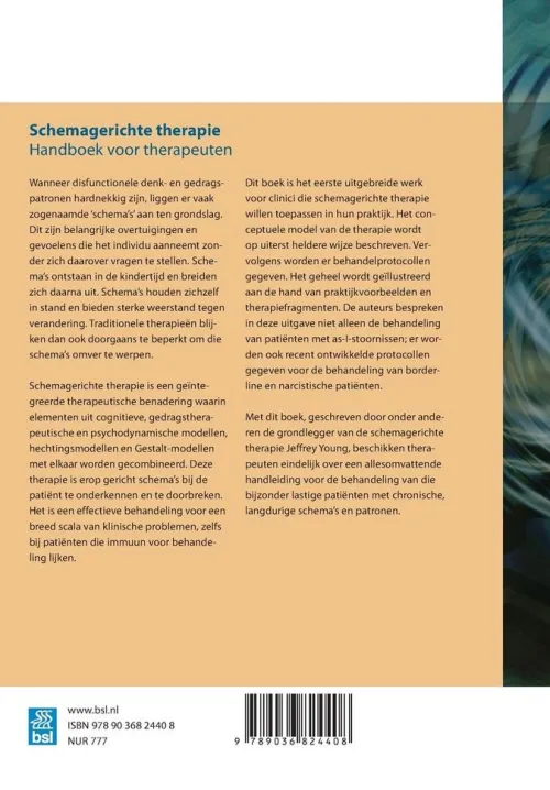 Bohn Stafleu van Loghum Niederländische Bücher-Schemagerichte therapie