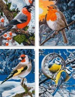 Noris Spiele GmbH Basteln & Kreatives-Schipper Malen nach Zahlen: Wintervögel (Quattro)