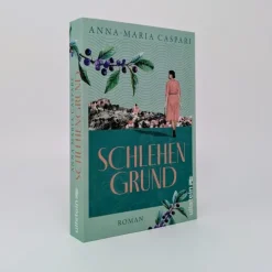 Ullstein extra Schicksalsromane*Schlehengrund