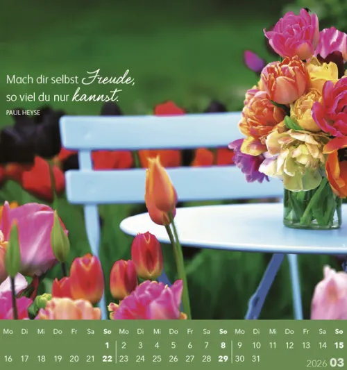 Korsch Postkartenkalender-Schön, dass es dich gibt! 2026