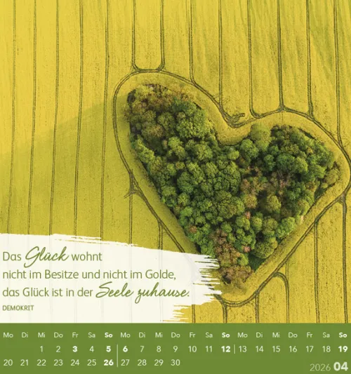 Korsch Postkartenkalender-Schön, dass es dich gibt! 2026