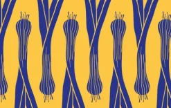 Schnell mal vegan*Brandstätter Verlag New