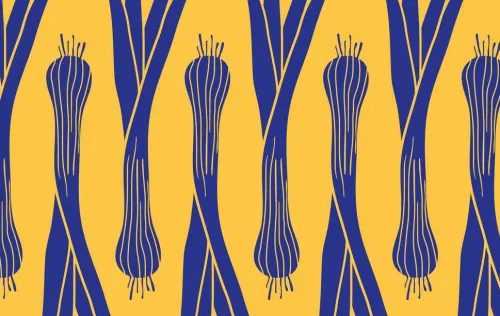 Schnell mal vegan*Brandstätter Verlag New