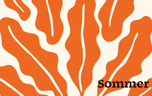 Schnell mal vegan*Brandstätter Verlag New