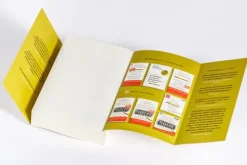 Pantheon Naturwissenschaften & Technik-Schnelles Denken, langsames Denken