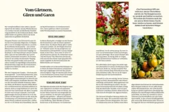 DuMont Buchverlag GmbH Kochbücher Nach Zubereitung*Schnelles Grünzeug