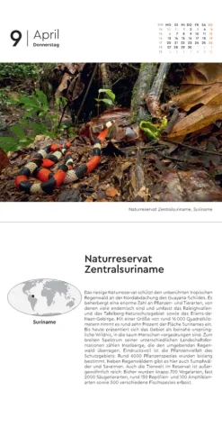 Kunth Kalender Abreiß-Kalender-Schätze der Natur - KUNTH 365-Tage-Abreißkalender 2026