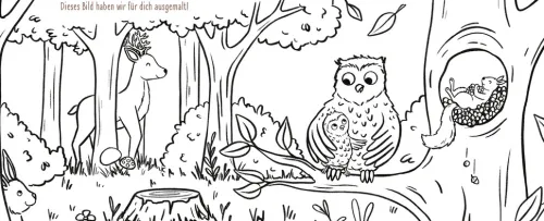 Edition Michael Fischer Freundebücher*Schuhuuu - Alle meine Freunde - Das Kindergartenalbum (Waldtiere)