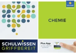 Westermann Bildungsmedien Mittlere Reife·Chemie*Schulwissen griffbereit - Chemie