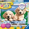 Ravensburger Spieleverlag Basteln & Kreatives*Süße Hundewelpen Malen nach Zahlen Serie E