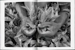 Taschen GmbH Künstler:Innen Im Fokus*Sebastião Salgado. Arbeiter. Zur Archäologie des Industriezeitalters