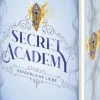 ONE Lgbtqia+ Jugendbücher-Secret Academy - Gefährliche Liebe (Band 2)