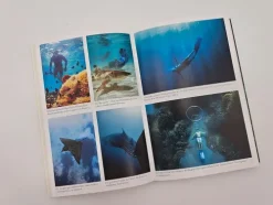 Segeljungs*Malik Verlag Sale