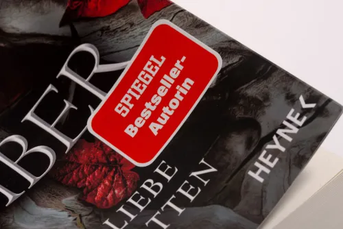 Shadow and Ember - Eine Liebe im Schatten*Heyne Taschenbuch Discount