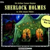 Romantruhe Hörspiele·Krimis & Thriller*Sherlock Holmes - neue Fälle Collector Box 16