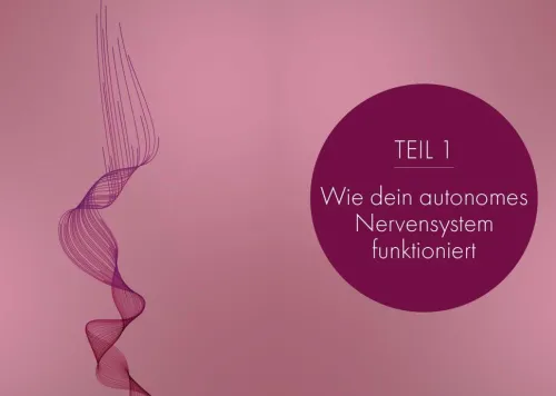 MVG Moderne Vlgs. Ges. Lebensratgeber*Sich(er) fühlen: Dein Körper ist der Schlüssel