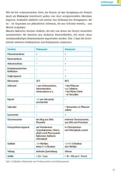 Sicher im Abi Biologie*Klett Lerntraining New