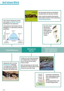 Sicher im Abi Biologie*Klett Lerntraining New