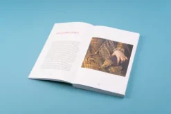 Seemann Henschel GmbH Kunst & Architektur-Sieh hin!