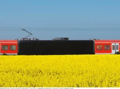 Dr. Cantz'sche Verlagsges Tagebücher-SIGNED. Unterwegs mit der 1UP-Crew und Moses & Taps