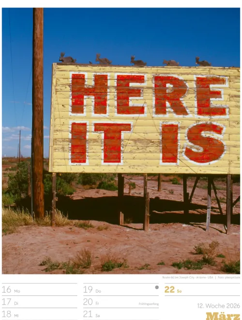 Signs Wochenplaner Kalender 2026*Ackermann Kunstverlag Best