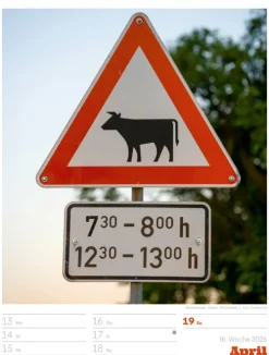 Signs Wochenplaner Kalender 2026*Ackermann Kunstverlag Best