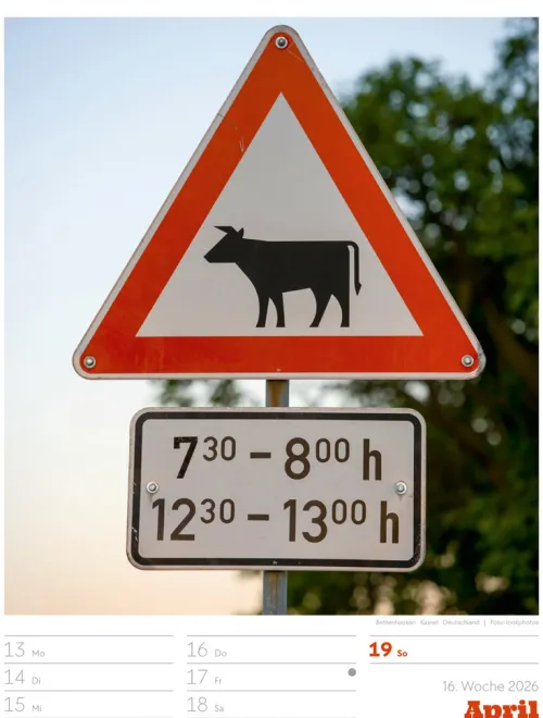 Signs Wochenplaner Kalender 2026*Ackermann Kunstverlag Best