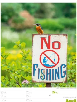 Signs Wochenplaner Kalender 2026*Ackermann Kunstverlag Best