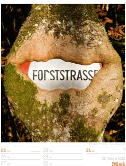 Signs Wochenplaner Kalender 2026*Ackermann Kunstverlag Best