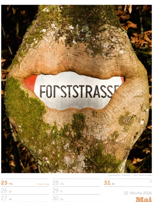 Signs Wochenplaner Kalender 2026*Ackermann Kunstverlag Best