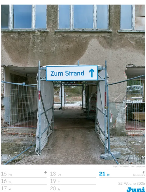 Signs Wochenplaner Kalender 2026*Ackermann Kunstverlag Best