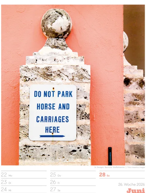 Signs Wochenplaner Kalender 2026*Ackermann Kunstverlag Best