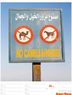 Signs Wochenplaner Kalender 2026*Ackermann Kunstverlag Best