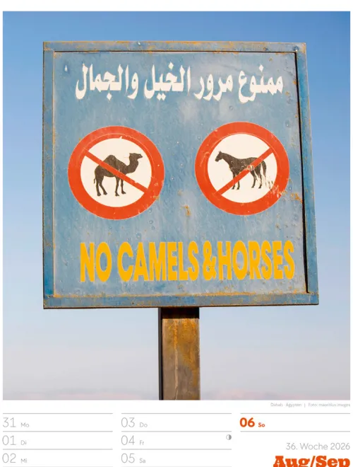 Signs Wochenplaner Kalender 2026*Ackermann Kunstverlag Best