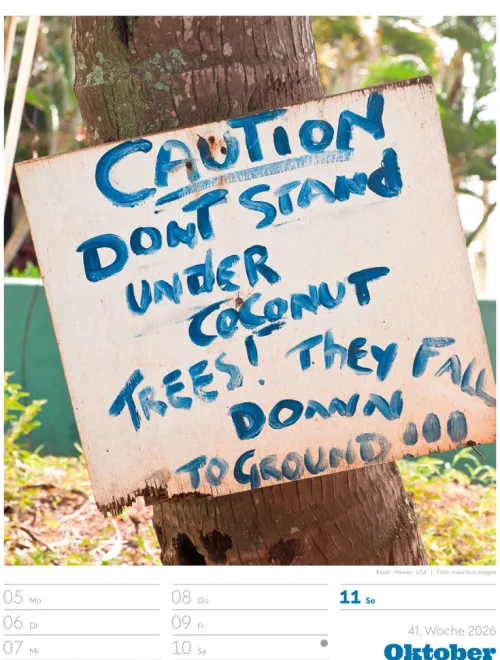 Signs Wochenplaner Kalender 2026*Ackermann Kunstverlag Best