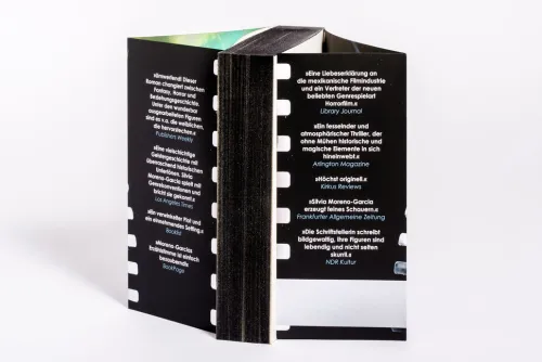 Silberne Geister*Limes Verlag Hot